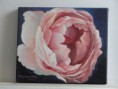 /album/schilderijen-bloemen/engelse-roos-jpg/